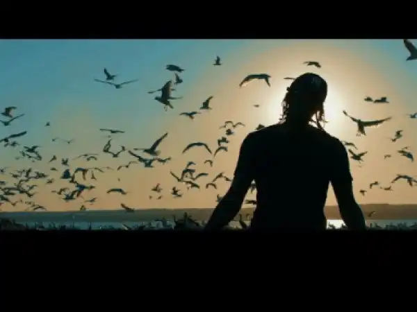 Video: Notifi - Won